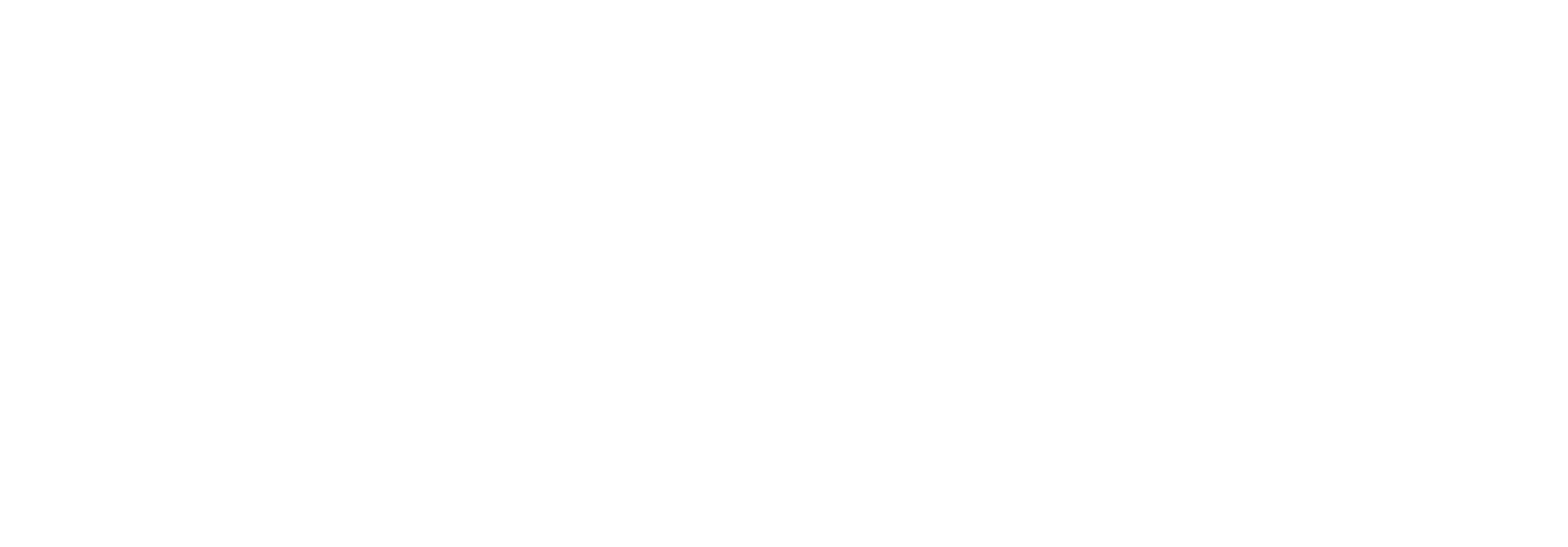 logo light